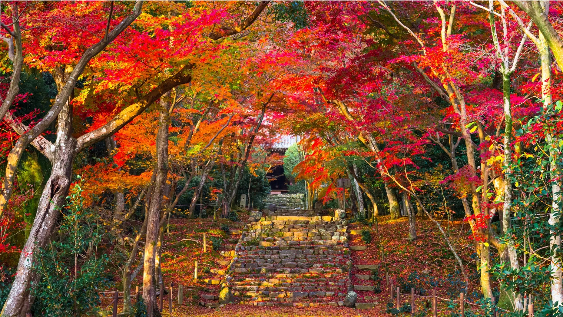 浄住寺