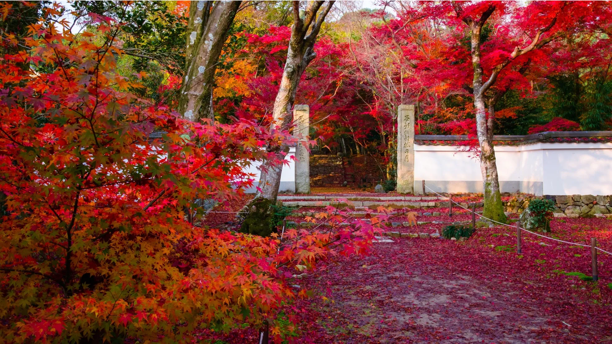 浄住寺