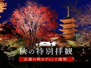 イベント 歳時 11月 そうだ 京都 行こう