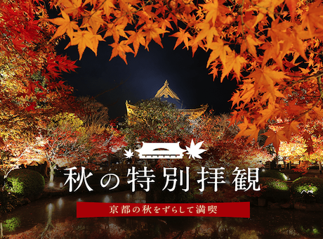 秋の特別拝観プラン そうだ 京都 行こう