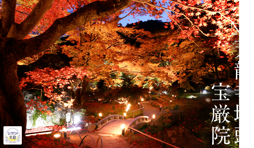 秋の特別拝観プラン そうだ 京都 行こう