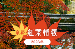 京都紅葉情報2023