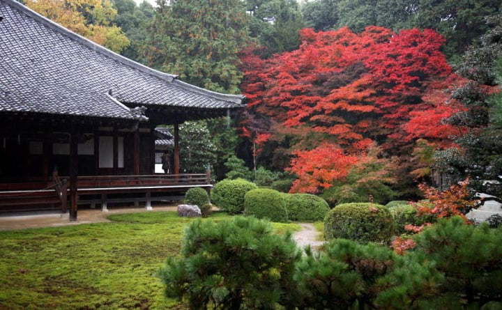 【お寺でモーニング】嵐山 宝厳院で過ごす朝のひととき