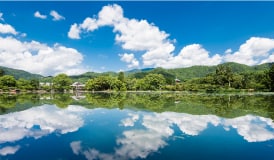 写真 大覚寺