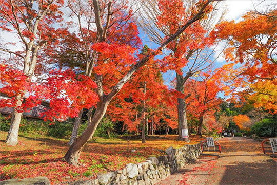 鷺森神社