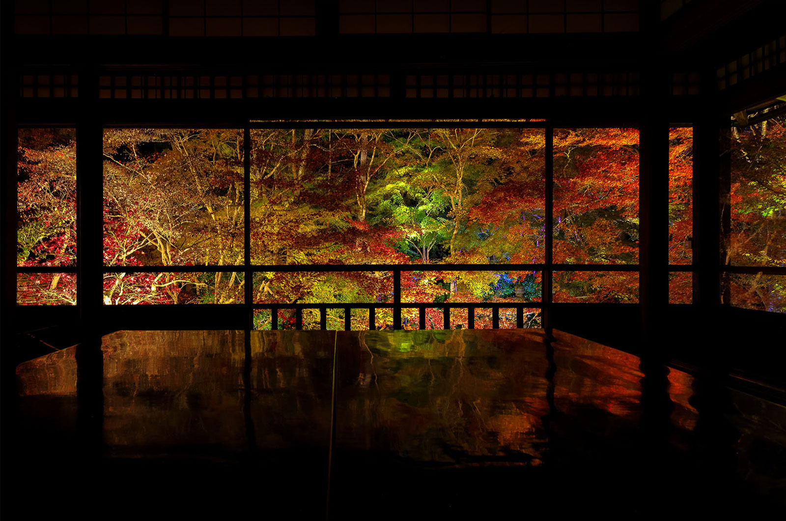 瑠璃光院 夜間特別拝観 そうだ 京都 行こう