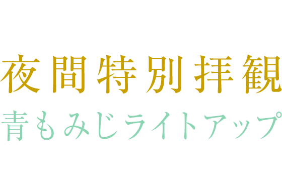 瑠璃光院 夜間特別拝観 青もみじライトアップ　購入方法