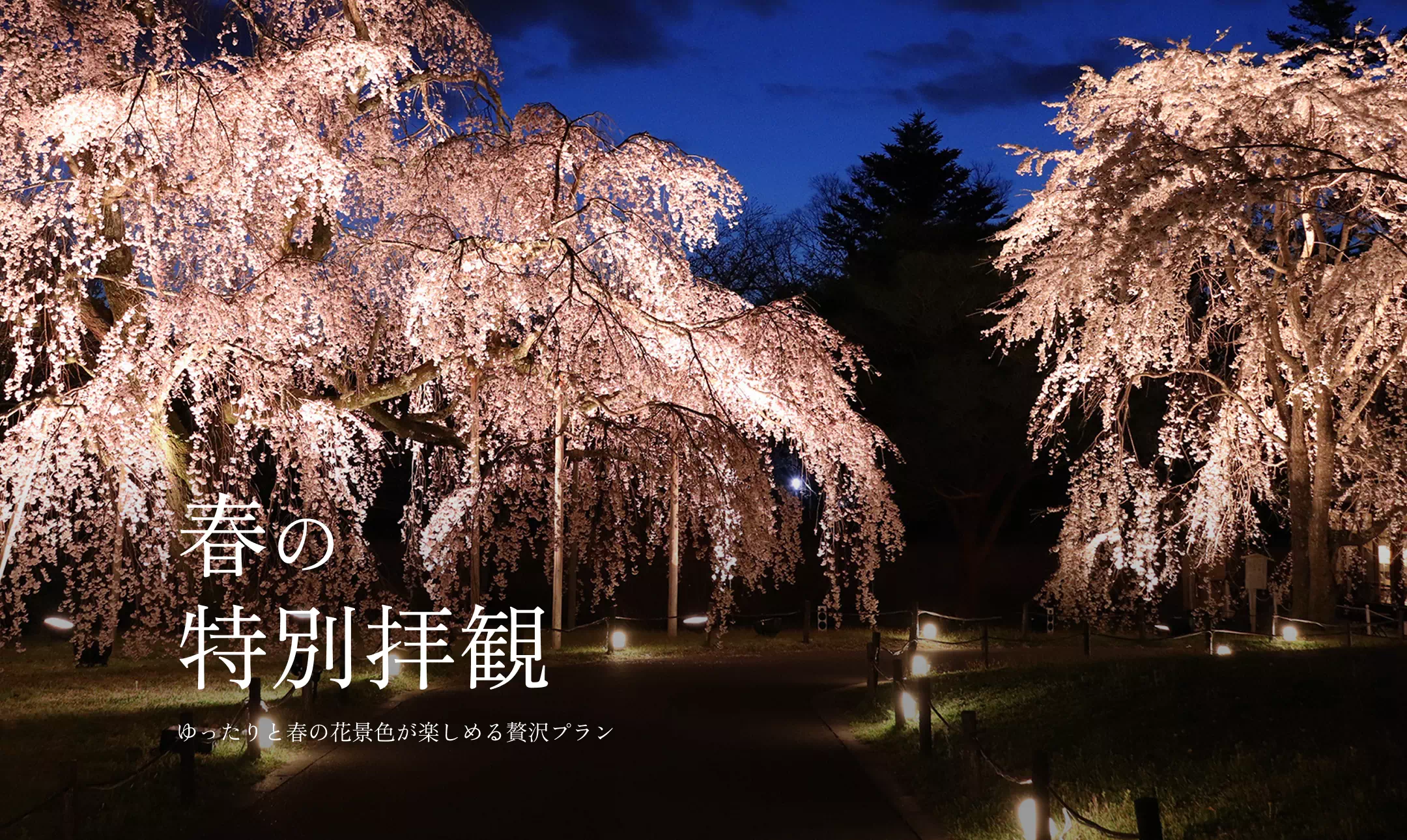 春の特別拝観 ゆったりと春の花景色が楽しめる贅沢プラン