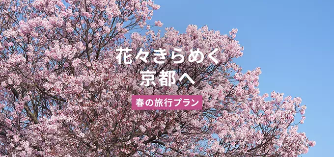 花々きらめく京都へ 春の旅行プラン