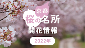 2022年　桜の開花情報