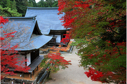 神護寺